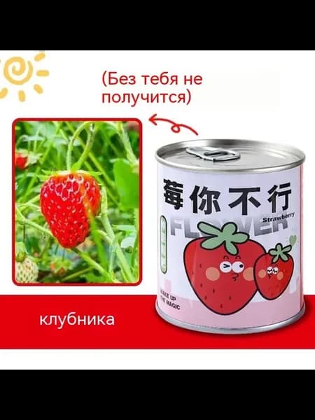 Слепая коробка клубника