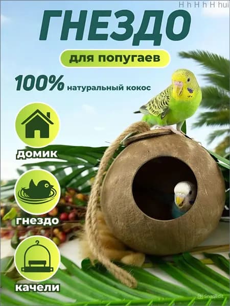 Гнездо для попугаев из кокоса