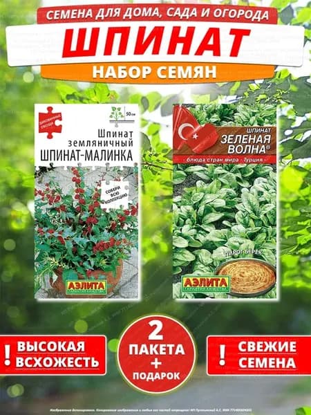 Семена шпинат для дома сада посадки