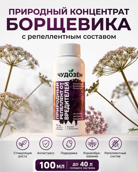 Удобрение для растений, для сада и огорода Концентрат борщевика 100 мл, биостимулятор роста и укоренения с репеллентным составом