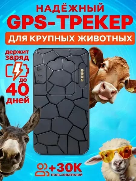 GPS-трекер для крупных животных с ошейником