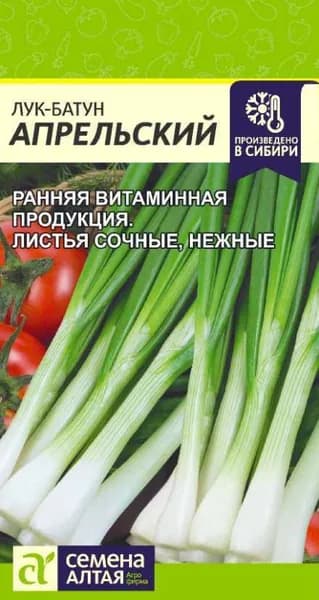 Семена Лук Батун Апрельский /Семена Алтая/цп 0.5 гр