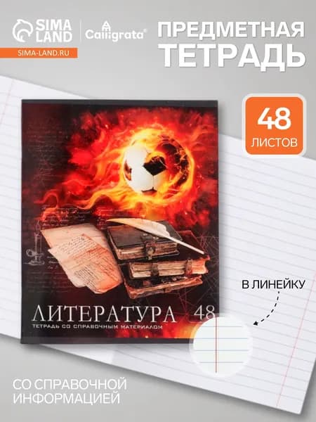 Предметная тетрадь по литературе Calligrata Футбол , 48 листов, в линейку, со справочным материалом, обложка из мелованного картона