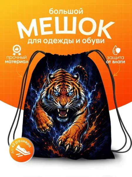 Мешок для обуви в школу сменки большой для мальчика