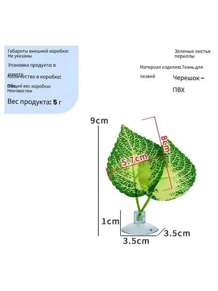 Экология растений-рептилий украшение пустынного ландшафта