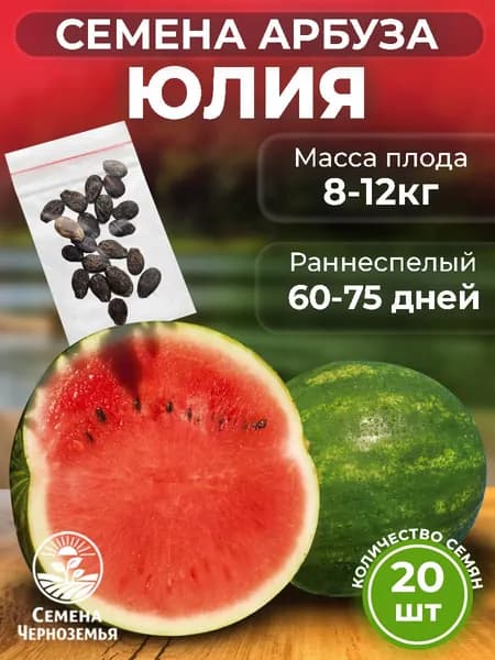 Арбуз семена. Юлия F1 (раннеспелый) высокоурожайный - 20 шт .