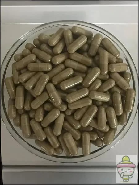 Чистая артемизинина 30: 1 Экстракт капсулы 500 мг *100 гранула -Artemisia Annua 30:1 ExtractDR