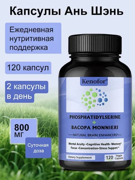 Капсулы, улучшающие работу мозга, поддерживают когнитивные функции, концентрацию и память