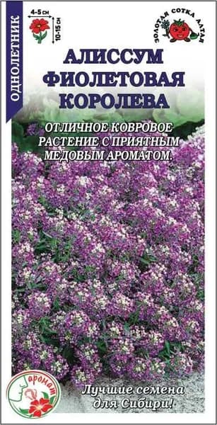 Алиссум Фиолетовая королева /Сотка/ 0,1г/ 15см, d-5см