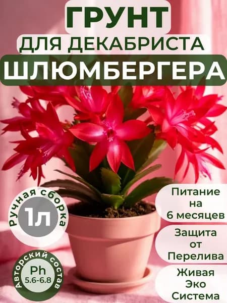 Готовый авторский грунт для Декабриста Шлюмбергера 1л