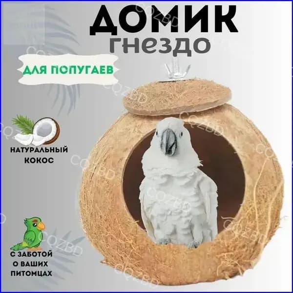 Гнездо для попугаев из натурального кокоса с подстилкой