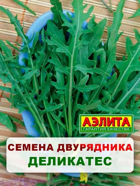 Семена двурядник тонколистный "Деликатес", 0,2 г, многолетние цветы, для дачи, сада и огорода, клумбы, в открытый грунт