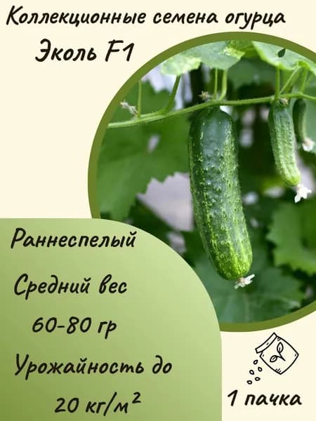 Коллекционные семена огурца Эколь F1, 10 шт. семян
