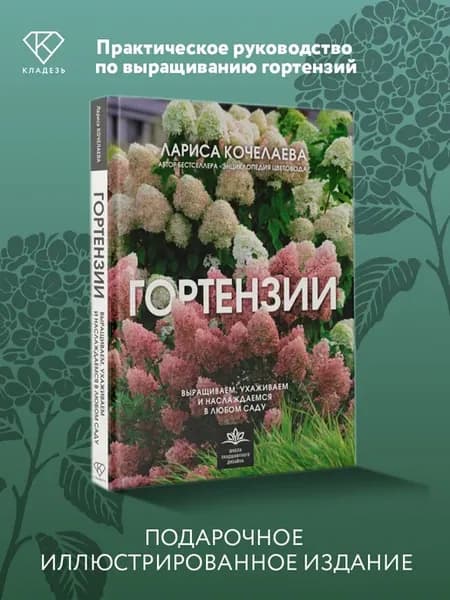 Гортензии. Выращиваем, ухаживаем и наслаждаемся в любом