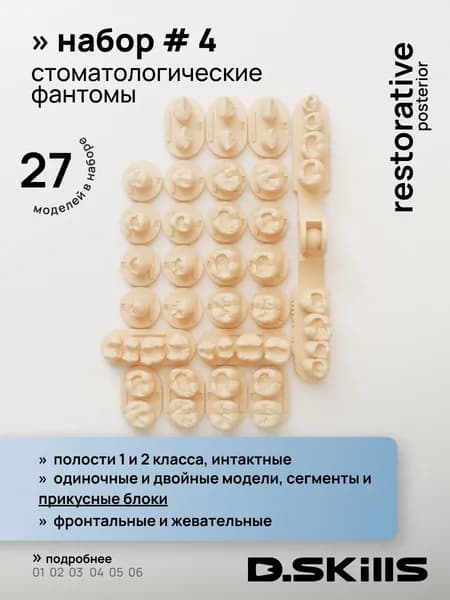 #4 Модели зубов для реставрации + прикусные блоки + интактные зубы