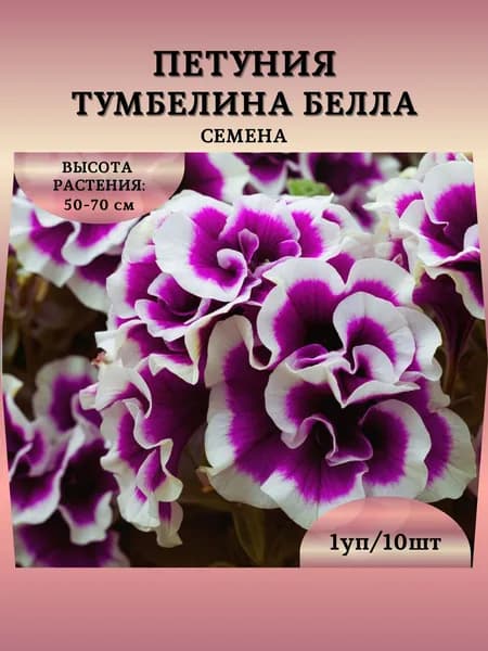 Семена Петунии "Тумбелина Белла", 10 семян
