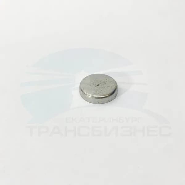 Заглушка блока цилиндров FOTON 1041 1049А 1069 1093 1099 (D 38мм) (T32418122)