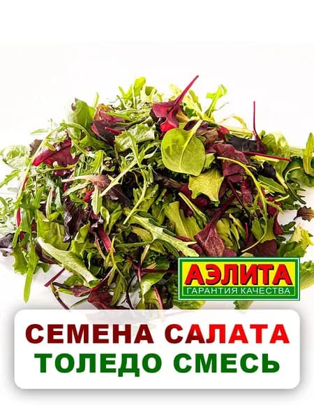 Семена смесь салатных культур "Толедо", Смесь, 0,5 г, однолетние цветы, для дачи, сада и огорода, клумбы, в открытый грунт