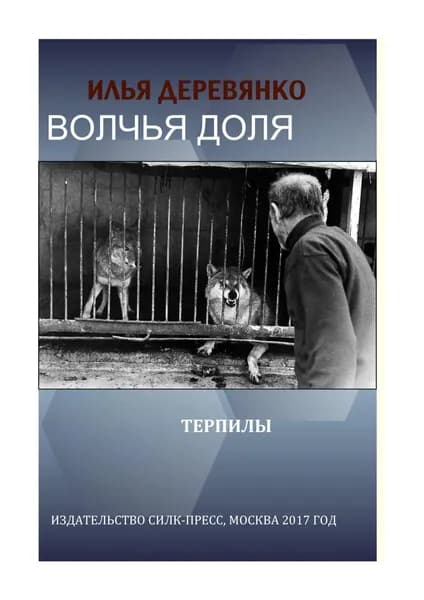 Терпилы | Деревянко Илья Валерьевич | Электронная книга
