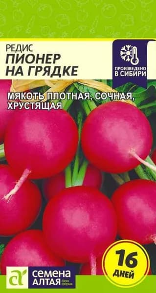 Семена Редис Пионер на Грядке (16 дней) /Семена Алтая/цп 1 гр.