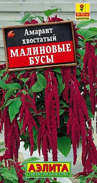Семена Амарант Малиновые бусы (0,2г) - Аэлита