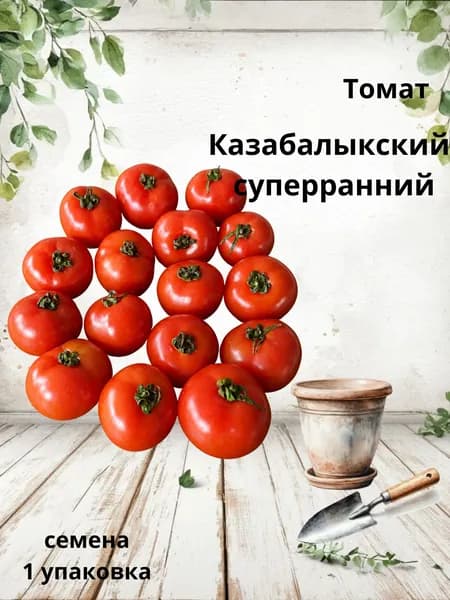 Коллекционные семена томата Казабалыкский суперранний