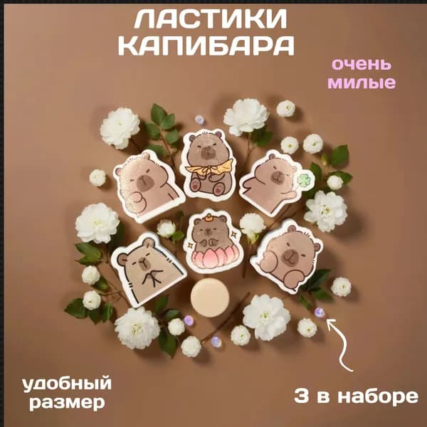 Ластик школьный Капибара 3 штуки