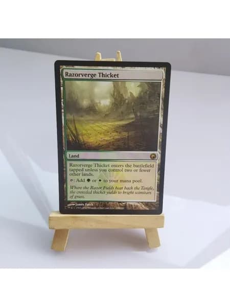Заголовок: Волшебство в твоих руках: Уникальная карта Magic: The Gathering (MTG) с защитным протектором в подарок!