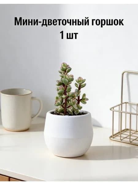 Вазон 6.5 см, 1 шт, цвет белый