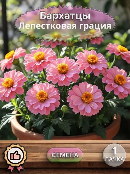 Бархатцы Лепестковая грация, семена. 10 шт.