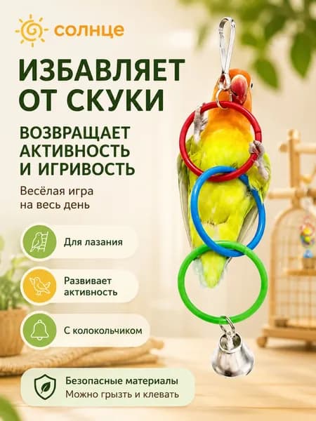 Игрушка-кольцо для дрессировки попугаев, трехцветная, цвета случайные.