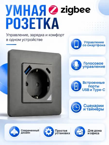 Умная Zigbee розетка с USB и Type-C для умного дома с Алисой, 220В, серая SmartLife SECTEC