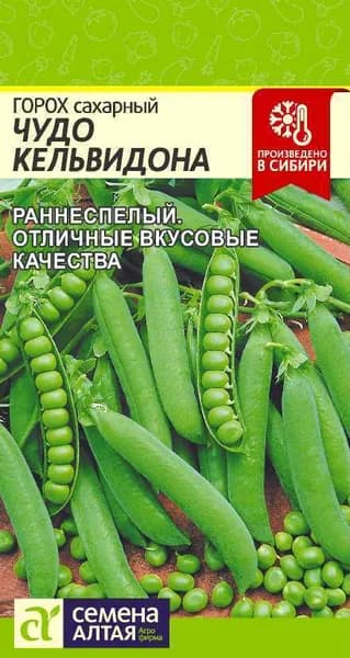 Семена Горох Чудо Кельвидона (10 г) - Семена Алтая