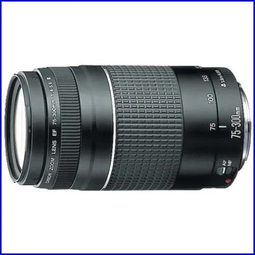 Canon Объектив Объектив Canon EF 75-300mm f/4-5.6 III