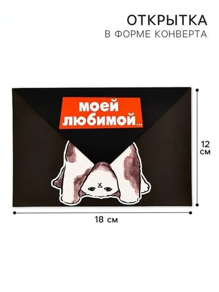 Открытка в форме конверта «Моей любимой», котик, 12×18 см