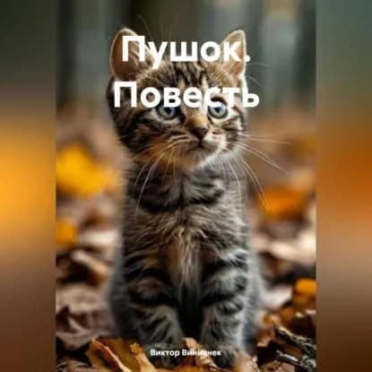 ПУШОК (повесть) | Винничек Виктор | Электронная аудиокнига
