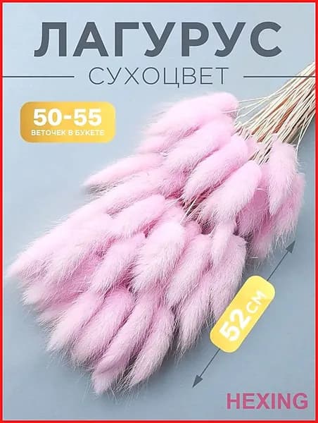 Сухоцветы Лагурус, 55 см, 55 гр, 55 шт