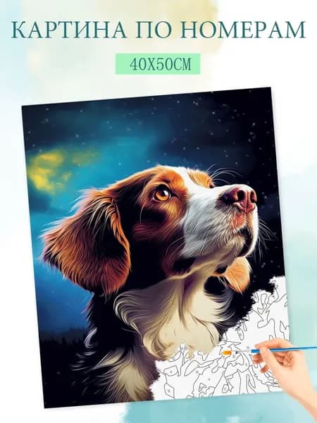 Картина по номерам на холсте с без подрамником 40x50cm / "Смотрю вверх, на небесного пса"