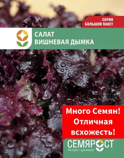 Салат Вишнёвая дымка 1,5г Семярост Семена
