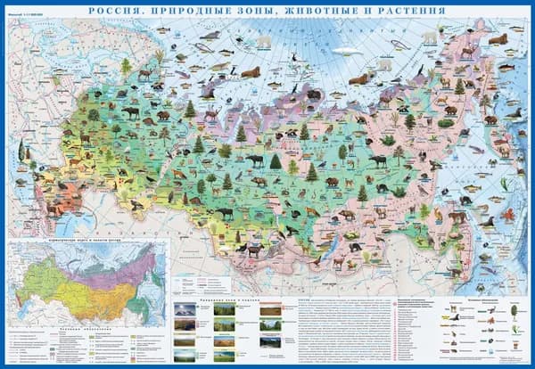 Атлас Принт Физическая карта 70 x 100 см, масштаб: 1:10 000 000