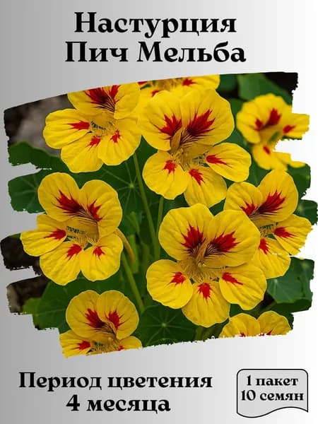 Настурция Пич Мельба, семена, 10 шт., 15 гр.