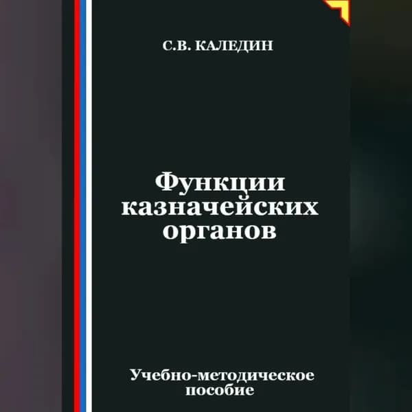 Функции казначейских органов | Каледин Сергей Евгеньевич | Электронная аудиокнига