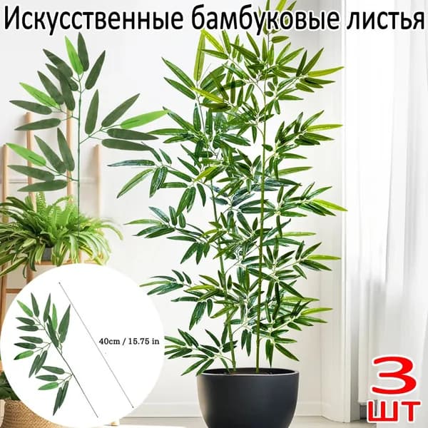 Стабилизированные цветы Бамбук, 3 шт