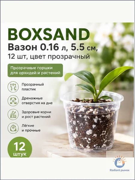 BOXSAND Вазон 0.16 л, 5.5 см, 12 шт, цвет прозрачный