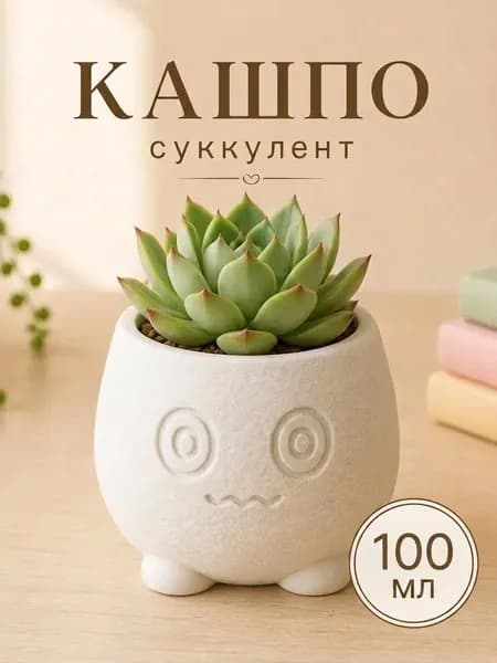 милое кашпо горшочек для цветов кактусов и суккулентов