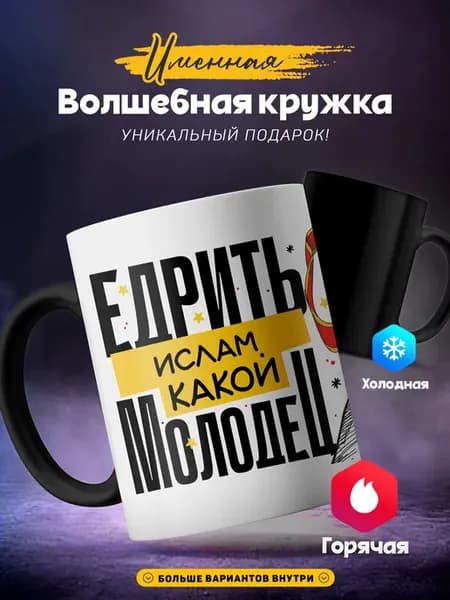 Мужская кружка хамелеон Ислам какой молодец красавчик