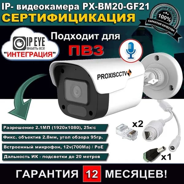IP- камера IP-PX-BM20-GF21 IPEYE с разъемами, уличная ПВЗ
