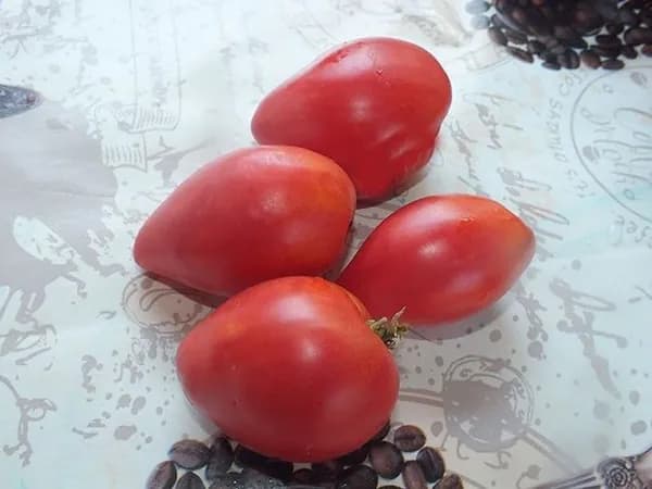 Коллекционные семена томата Ужин Контадино