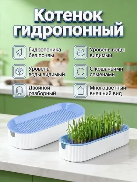 Гидропонный набор для кошачьей травы, 21x9.2x4.5 см