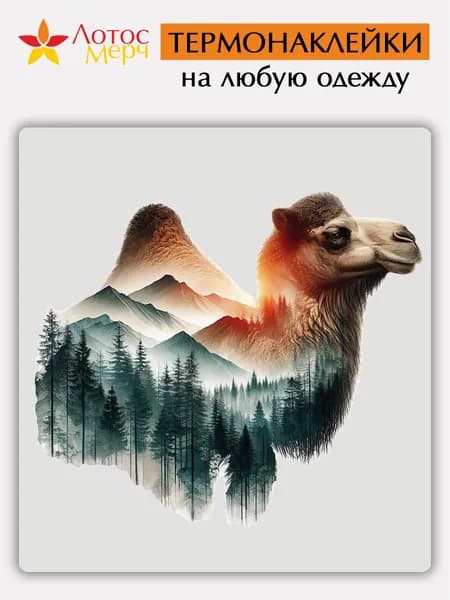 Аксессуар для военной формы
